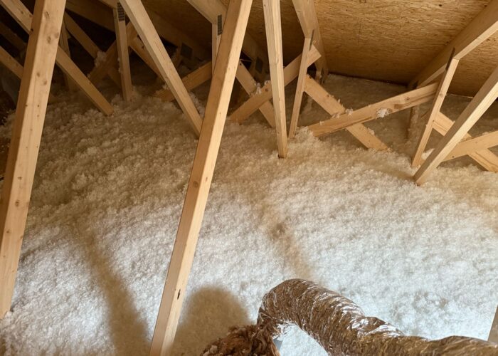 WhatsApp Image 2025-05-08 at 09.32.06 (1)