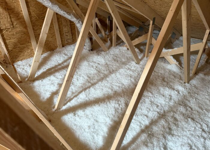 WhatsApp Image 2025-05-08 at 09.32.06 (2)