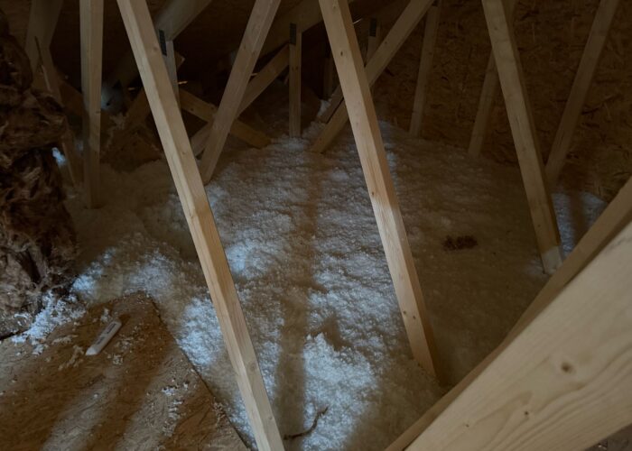 WhatsApp Image 2025-05-08 at 09.32.06