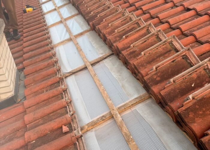 Obrázek WhatsApp, 2025-10-28 v 20.58.04_41c3887c